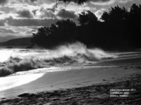 Highlight for Album: John Hairell photo album