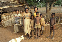 Highlight for Album: Madagascar Collection--Prints by Mark Walters